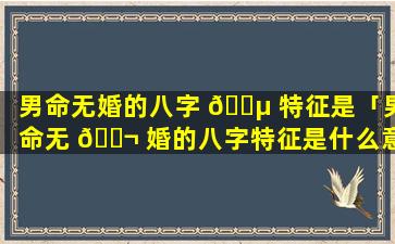 男命无婚的八字 🌵 特征是「男命无 🐬 婚的八字特征是什么意思」